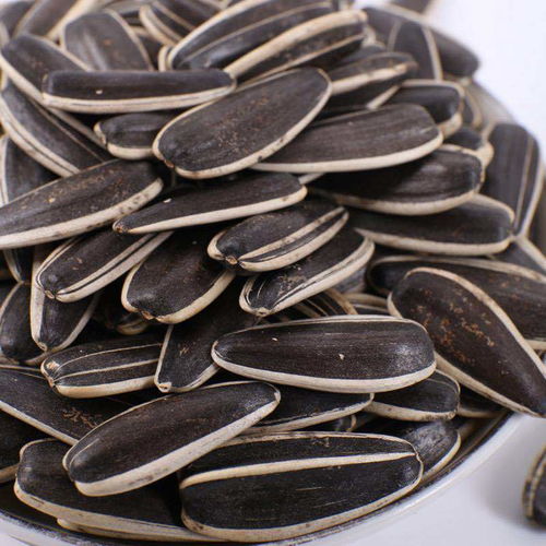 生瓜子與葵花籽 五香、焦糖、原味的多樣風(fēng)味選擇